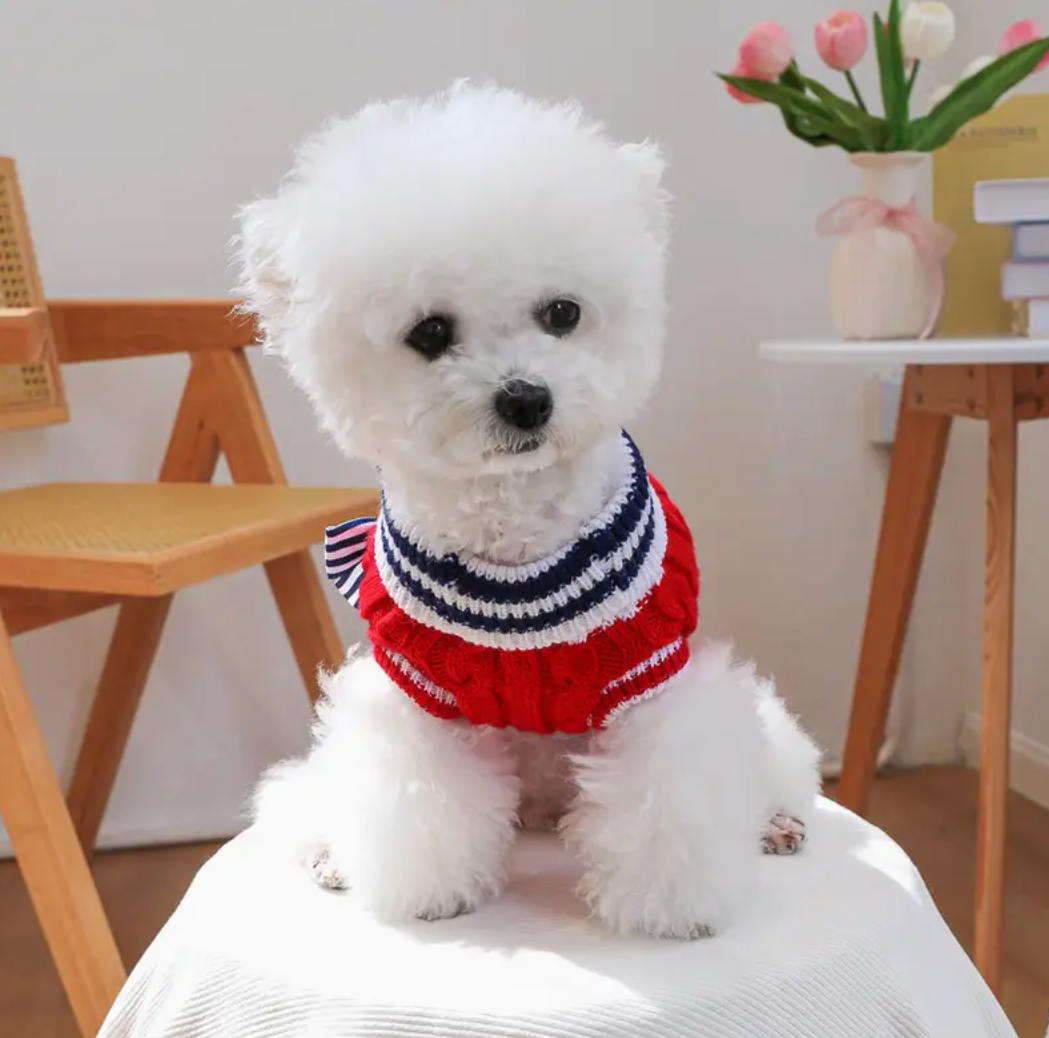 Nautical Charm Sweater